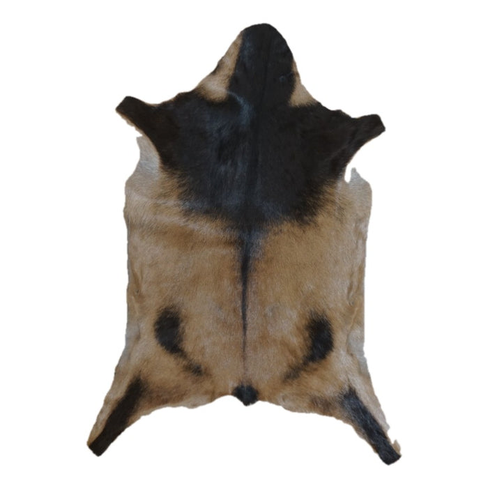 Tan and Black goatskin rug, 3'2" x 2'4", shown on white background (GT-043)