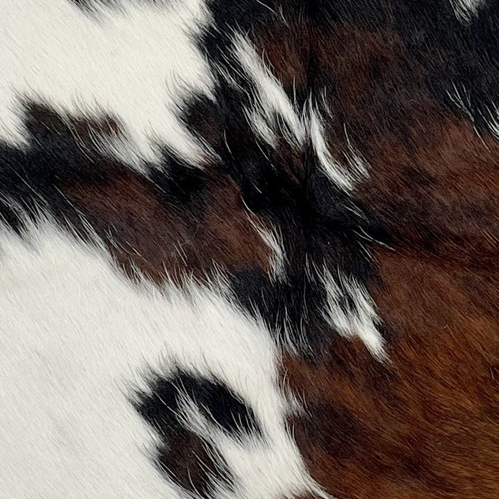 Closeup of this Tricolor Mini Cowhide, showing white with spots that have a mix of black and brown (MINI212)