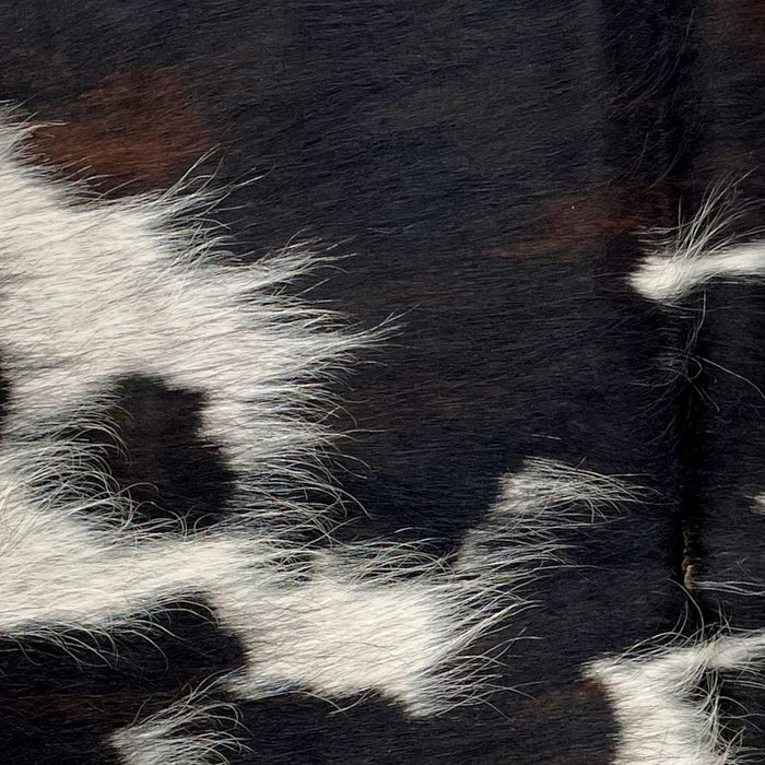 Closeup of this Dark Tricolor Mini Cowhide, showing a mix of black and dark brown, and spots that have fine, black speckles (MINI217)