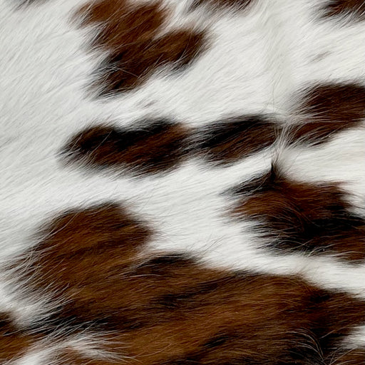 Closeup of this Tricolor Mini Cowhide, showing white with small and large spots that have a mix of brown and black (MINI221)