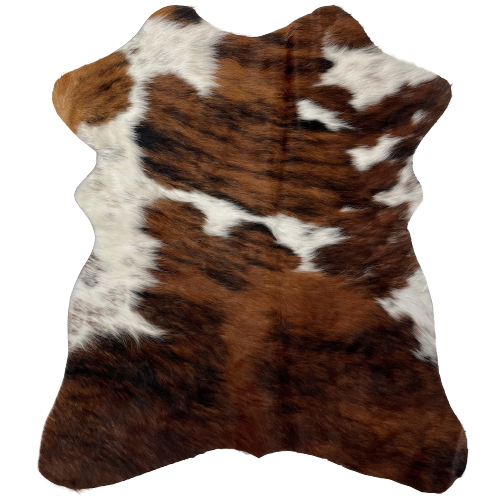 Tricolor Mini Cowhide:  has a brown and black, brindle pattern, and white with faint, cloudy speckles - 2'8" x 2'3"(MINI223)