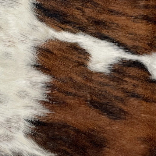 Closeup of this Tricolor Mini Cowhide, showing a brown and black, brindle pattern, and white with faint, cloudy speckles (MINI223)