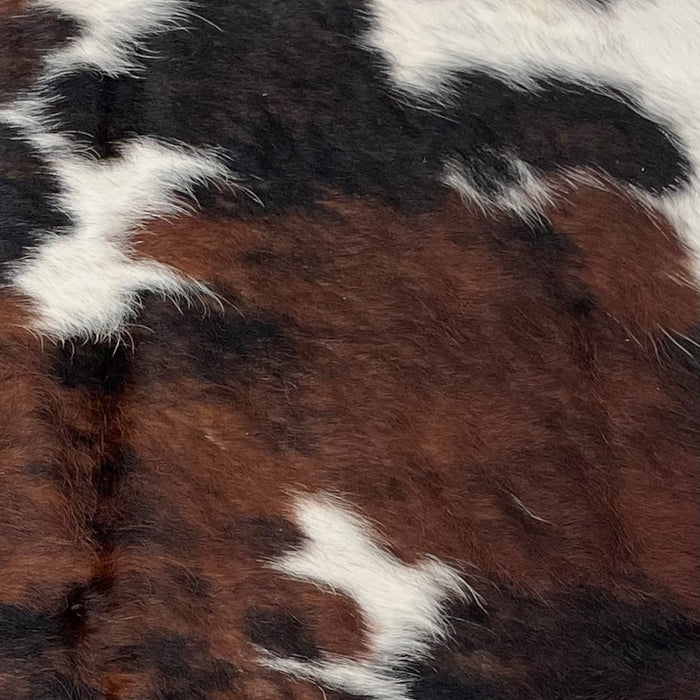Closeup of this Tricolor Mini Cowhide, showing a brown and black, brindle pattern covering most of the hide, with a few small, white spots on the top half of the hide and on the shanks (MINI224)