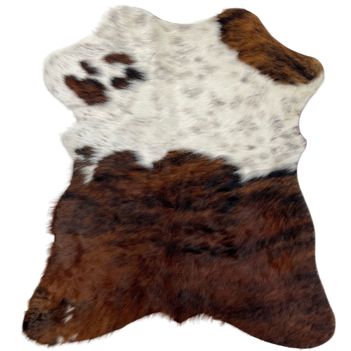 Tricolor Mini Cowhide:  white with black and brown speckles on the top half, and a couple small spots, on the top half and the lower half, that have a brown and black, brindle pattern - 2'8" x 2'3" (MINI229)