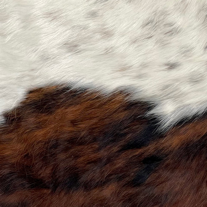 Closeup of this Tricolor Mini Cowhide, showing white with black and brown speckles on the top half, and a brown and black, brindle pattern on the lower half (MINI229)