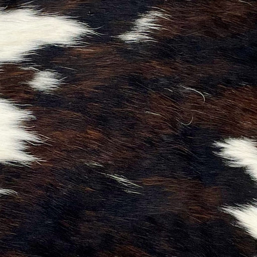 Closeup of this Tricolor Mini Cowhide, showing white with large and small spots that have a mix of black and brown (MINI234)