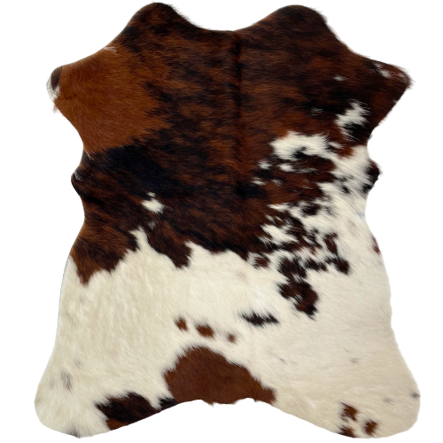 Tricolor Mini Cowhide:  has a reddish brown and black, brindle pattern, with a few small, off-white spots, on the top half, and off-white, with small spots that have a mix of brown and black, on the lower half - 2'8" x 2'3" (MINI235)
