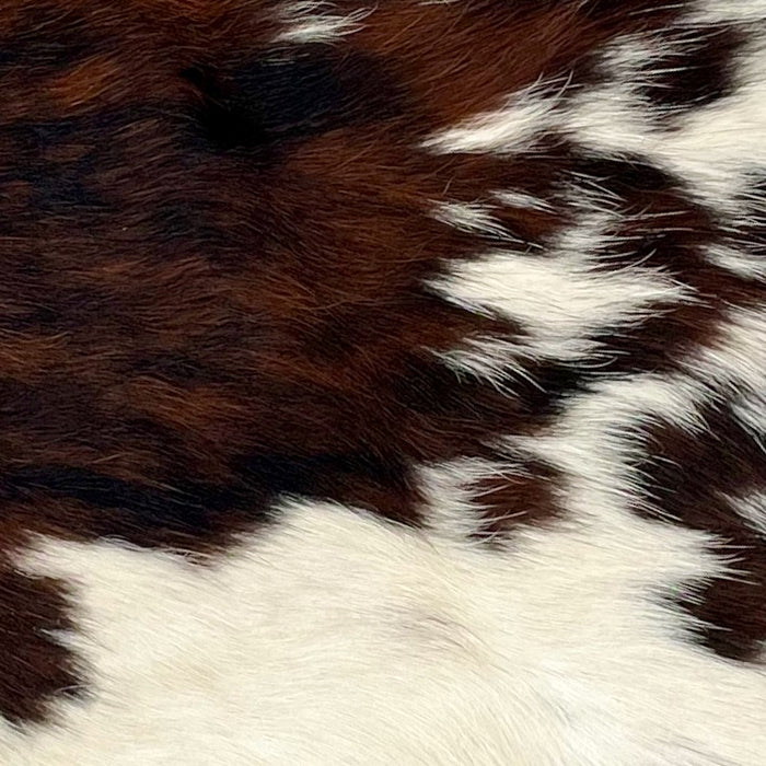 Closeup of this Tricolor Mini Cowhide, showing a reddish brown and black, brindle pattern, with a few small, off-white spots, on the top half, and off-white, with small spots that have a mix of brown and black, on the lower half  (MINI235)