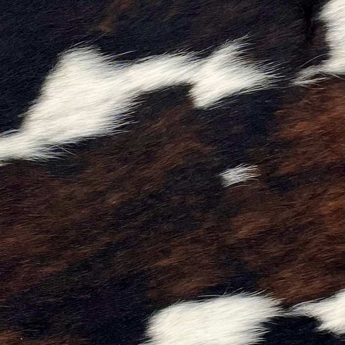 Closeup of this Tricolor Mini Cowhide, showing a black and brown, brindle pattern, with two thin, white strips across the hide, and a spot of white with black speckles on the right side (MINI239)