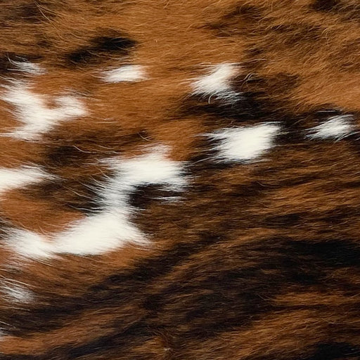Closeup of this Tricolor Mini Cowhide, showing a brown and black, brindle pattern, with a few small, white spots in the middle and along the side edges (MINI240)
