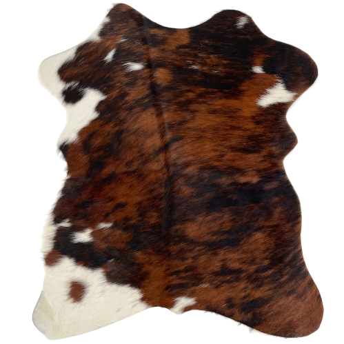 Tricolor Mini Cowhide:  has a reddish brown and black, brindle pattern, white on both left shanks, and a few small, white spots near the edges - 2'8" x 2'3" (MINI241)