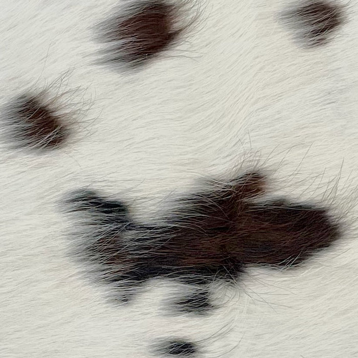 Closeup of this Tricolor Mini Cowhide, showing white with small spots that have a mix of black and dark brown  (MINI242)