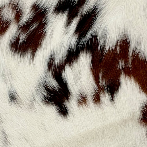 Closeup of this Tricolor Mini Cowhide, showing off-white with brown and blackish brown spots (MINI243)