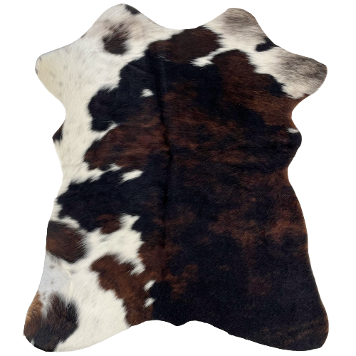 Tricolor Mini Cowhide:  has a mix black and dark brown covering most of the hide, and white with black and brown spots and speckles along the left side and top edge - 2'8" x 2'3" (MINI244)