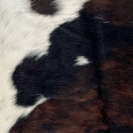 Closeup of this Tricolor Mini Cowhide, showing a mix black and dark brown covering most of the hide, and white with black and brown spots and speckles along the left side (MINI244)