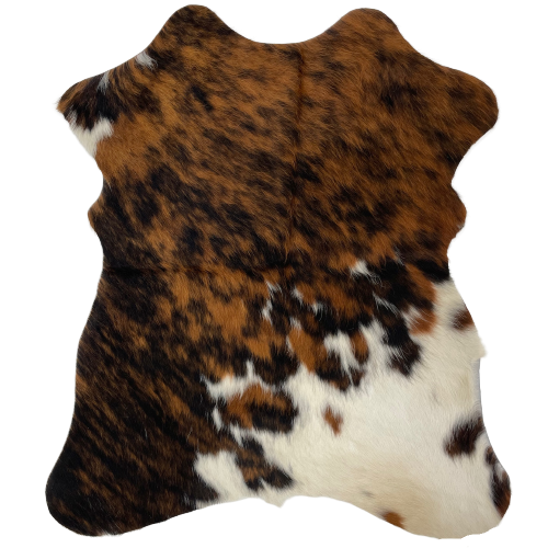 Tricolor Mini Cowhide:  has a brown and black brindle pattern, and off-white, with brown and black spots, on the lower right side - 2'8" x 2'3" (MINI245)