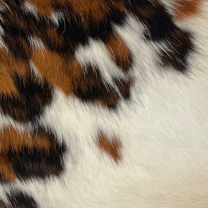 Closeup of this Tricolor Mini Cowhide, showing a brown and black brindle pattern, and off-white, with brown and black spots, on the lower right side (MINI245)