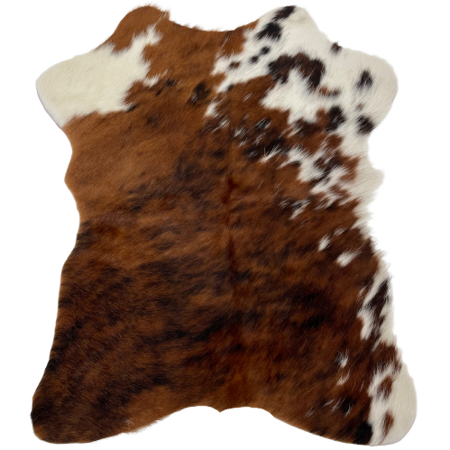 Tricolor Mini Cowhide:  has a mix of brown and black, off-white on the left, fore shank, and whit with brown and black spots on the right side of the shoulder and down the right side edge - 2'8" x 2'3" (MINI246)