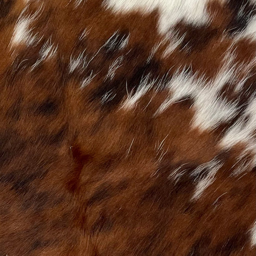Closeup of this Tricolor Mini Cowhide, showing a mix of brown and black, and white with brown and black spots on the right side of the shoulder and down the right side edge (MINI246)