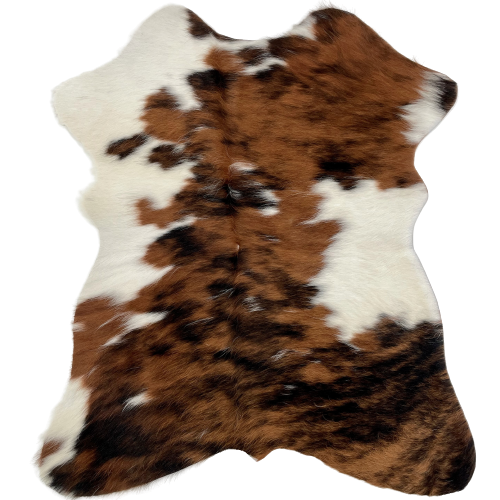 Tricolor Mini Cowhide:  has a brown and black, brindle pattern, and  white spots along the right and left side edges - 2'8" x 2'3" (MINI249)