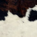 Closeup of this Tricolor Mini Cowhide, showing a black and brown, brindle pattern across the shoulder, and white with black speckles and spots on the lower half (MINI250)