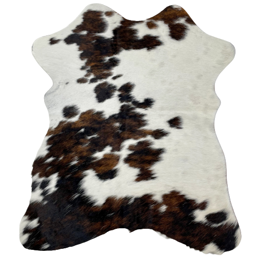 Tricolor Mini Cowhide:  white, with faint speckles, and it has spots that are mix of black and brown - 2'8" x 2'3" (MINI251)