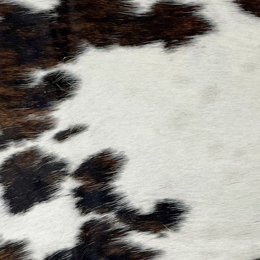 Closeup of this Tricolor Mini Cowhide, showing white, with faint speckles, and spots that are mix of black and brown (MINI251)