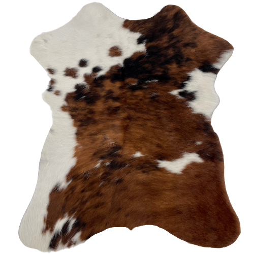 Tricolor Mini Cowhide:  has a mix of brown and black covering most of the hide, white on the left side of the shoulder and down the left side edge, and a couple white spots on the right side - 2'8" x 2'3" (MINI252)