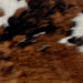 Closeup of this Tricolor Mini Cowhide, showing a mix of brown and black covering most of the hide, white on the left side of the shoulder, and a couple white spots on the right side (MINI252)