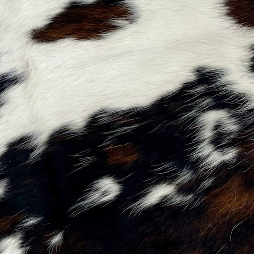 Closeup of this Tricolor Mini Cowhide, showing white with large and small spots that have a mix of black and brown (MINI253)