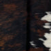 Closeup of this Tricolor Mini Cowhide:, showing a black and brown, brindle pattern, with white on part of the right side of the belly (MINI259)