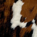 Closeup of this Tricolor Mini Cowhide, showing white with large and small spots that have a mix of brown and black  (MINI260)