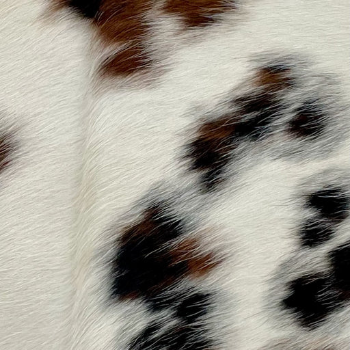 Closeup of this Tricolor Mini Cowhide, showing mostly white, with a few, cloudy spots that have a mix of brown and black (MINI263)