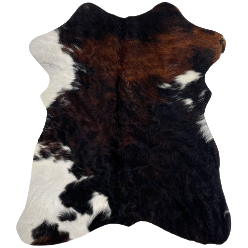 Tricolor Mini Cowhide:  has a mix of dark brown and black, with a few white spots - 2'8" x 2'3" (MINI265)