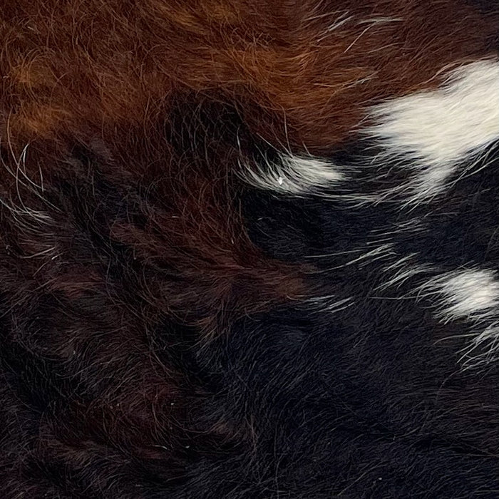 Closeup of this Tricolor Mini Cowhide, showing a mix of dark brown and black, with a few white spots (MINI265)