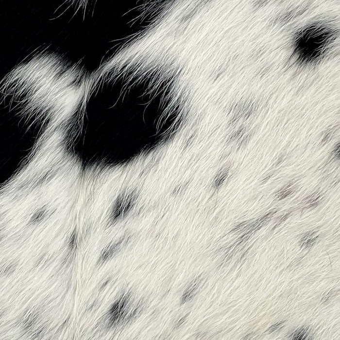 Closeup of this Speckled Mini Cowhide, showing white with black speckles and spots (MINI266)