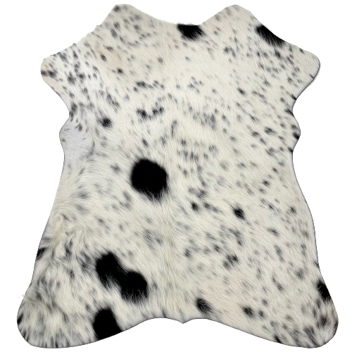 White and Black Speckled Mini Cowhide:  white with black speckles and spots - 2'8" x 2'3" (MINI267)