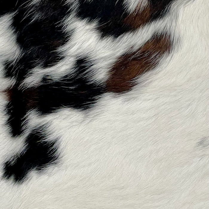 Closeup of this Tricolor Mini Cowhide, showing off-white with spots that have a mix of black and dark brown  (MINI269)