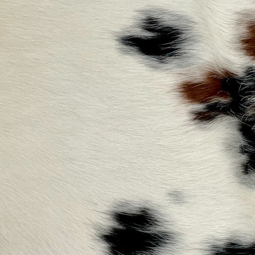 Closeup of this Tricolor Mini Cowhide, showing white and off-white with cloudy, brown and black spots (MINI271)