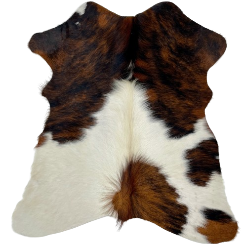 Tricolor Mini Cowhide:  has a mix of brown and black on the top half and off-white with three spots that have a mix of brown and black, on the lower half - 2'8" x 2'3" (MINI273)