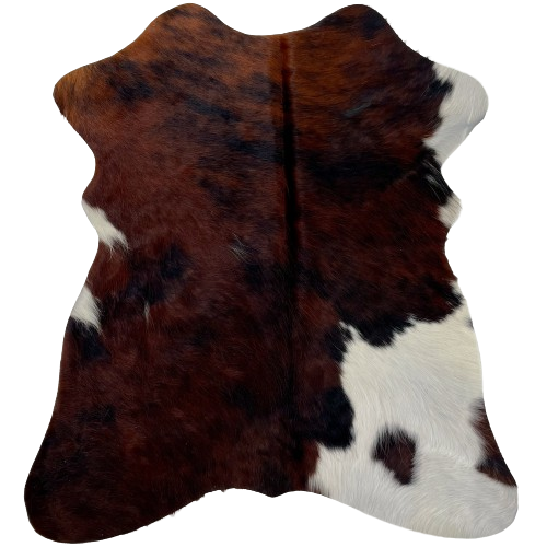 Tricolor Mini Cowhide:  has a dark brown and black, brindle pattern, with two small white spots on the left side of the belly, and a large white spot on the right fore shank and hind shank - 2'8" x 2'3" (MINI274)