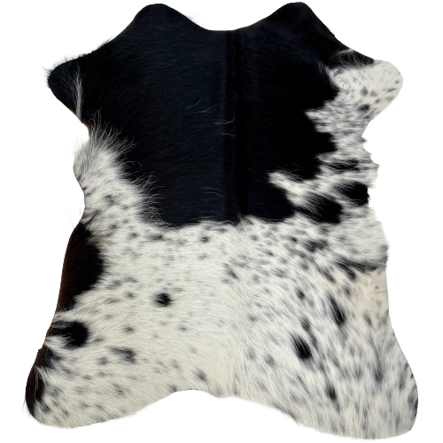 Black and White Speckled Mini Cowhide:  white with black speckles and spots, and a large, black spot across the shoulder and in the middle of the back - 2'8" x 2'3" (MINI275)