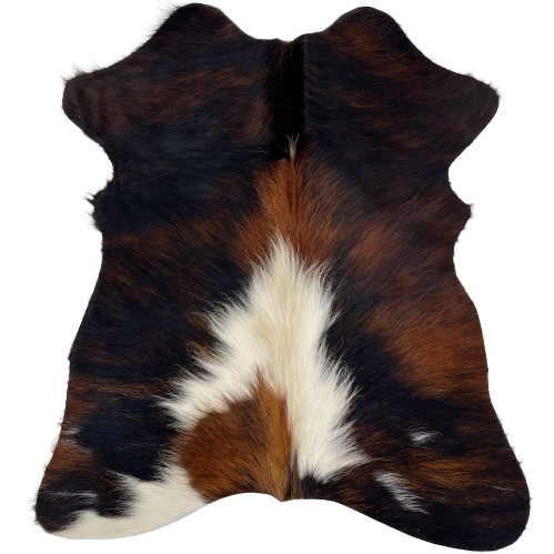 Tricolor Mini Cowhide:  has a mix of black and reddish brown, with an off-white spot in the middle of the bottom half, and on the left hind shank - 2'8" x 2'3" (MINI281)
