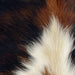 Closeup of this Tricolor Mini Cowhide, showing a mix of black and reddish brown, with an off-white spot in the middle of the bottom half (MINI281)