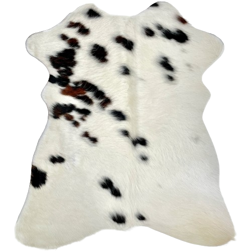 Tricolor Mini Cowhide:  white with black and dark brown spots - 2'8" x 2'3" (MINI284)