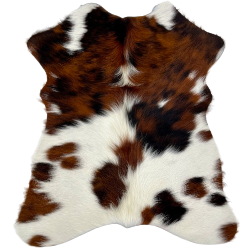 Tricolor Mini Cowhide:  white with large and small spots that have a mix of red brown and black - 2'8" x 2'3" (MINI287)