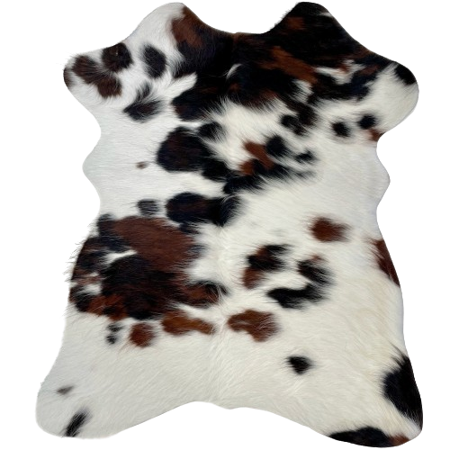 Tricolor Mini Cowhide:  white with black and dark brown spots - 2'8" x 2'3" (MINI290)