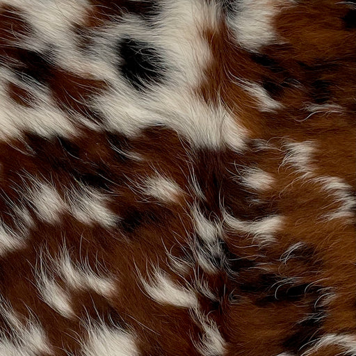 Closeup of this Tricolor Mini Cowhide, showing off-white with reddish brown and black spots (MINI292)