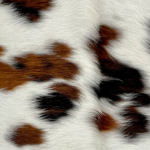 Closeup of this Tricolor Mini Cowhide, showing white with brown and blackish brown spots (MINI293)