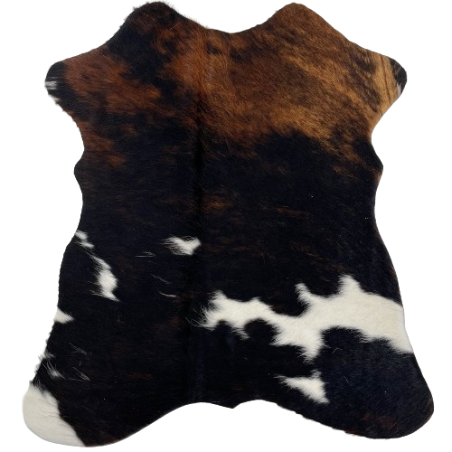 Tricolor Mini Cowhide:  has a mix of brown and black, and a few white spots across the lower half of the hide - 2'8" x 2'3" (MINI296)